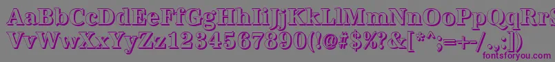 AntiquashCdBold Font – Purple Fonts on Gray Background