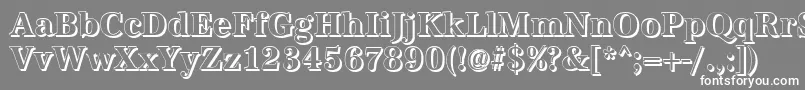 AntiquashCdBold Font – White Fonts on Gray Background