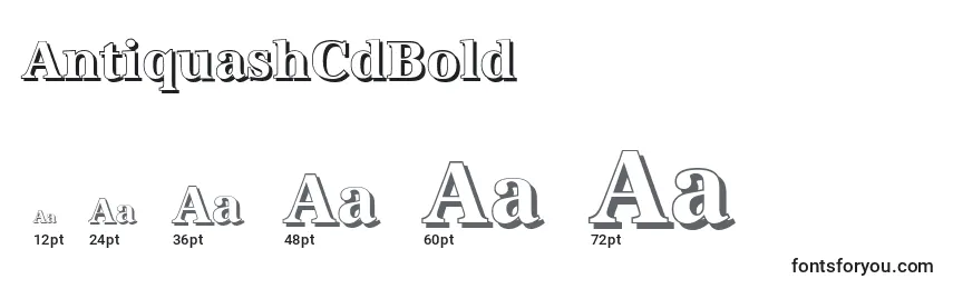 AntiquashCdBold Font Sizes