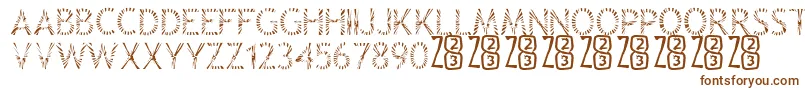 Zone23Rayz Font – Brown Fonts on White Background