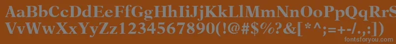 フォントNewAsterLtBold – 茶色の背景に灰色の文字