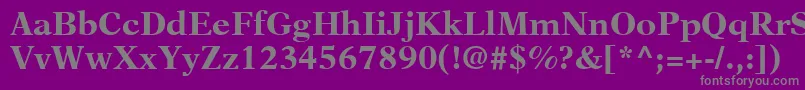 フォントNewAsterLtBold – 紫の背景に灰色の文字