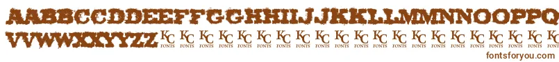 OlCowboyDemo Font – Brown Fonts on White Background