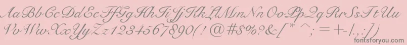 BravoScriptSsi Font – Gray Fonts on Pink Background
