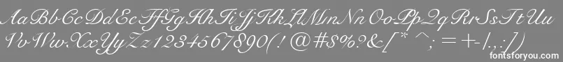 BravoScriptSsi Font – White Fonts on Gray Background