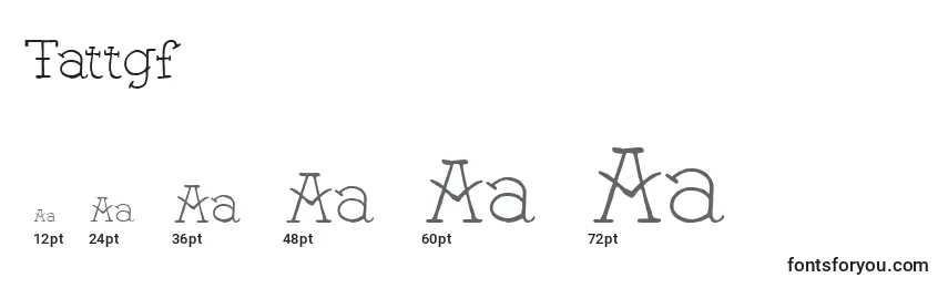Размеры шрифта Tattgf