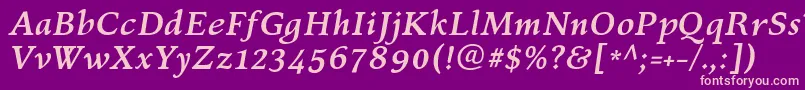 KelvinchBolditalic Font – Pink Fonts on Purple Background