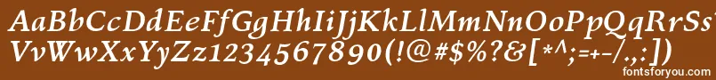 フォントKelvinchBolditalic – 茶色の背景に白い文字