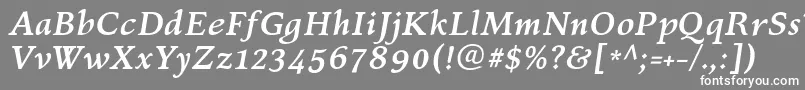 フォントKelvinchBolditalic – 灰色の背景に白い文字