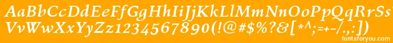 フォントKelvinchBolditalic – オレンジの背景に白い文字