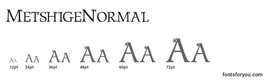 MetshigeNormal Font Sizes