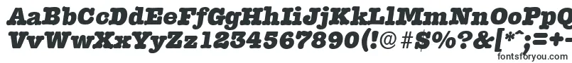 TypewriterserialHeavyItalic-Schriftart – Schriftarten, die mit T beginnen