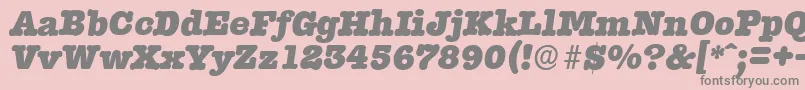 TypewriterserialHeavyItalic Font – Gray Fonts on Pink Background