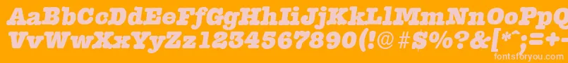 TypewriterserialHeavyItalic Font – Pink Fonts on Orange Background