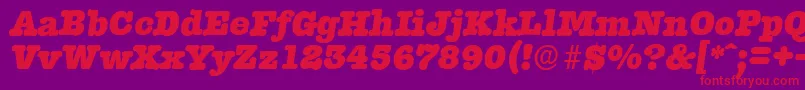 TypewriterserialHeavyItalic Font – Red Fonts on Purple Background