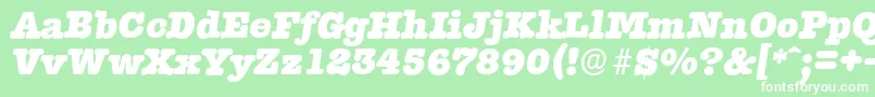 TypewriterserialHeavyItalic Font – White Fonts on Green Background