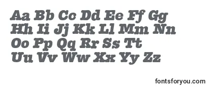 TypewriterserialHeavyItalic Font
