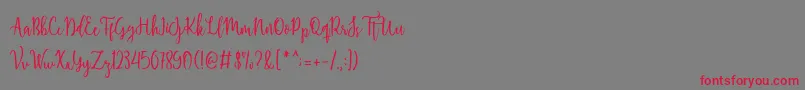 Shellaherascriptdemo Font – Red Fonts on Gray Background