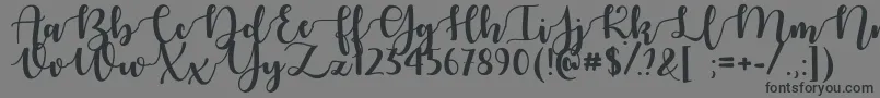 AutumnInNovemberTtf Font – Black Fonts on Gray Background