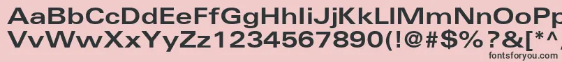 NovaExpandedSsiBoldExpanded Font – Black Fonts on Pink Background