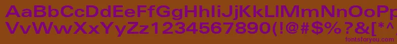 NovaExpandedSsiBoldExpanded Font – Purple Fonts on Brown Background