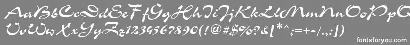 フォントCorridacRegular – 灰色の背景に白い文字