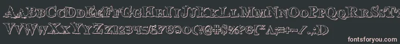 Bloodcrows Font – Pink Fonts on Black Background