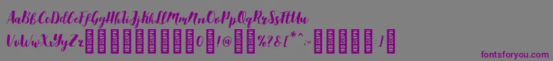 Aldine Font – Purple Fonts on Gray Background