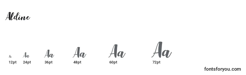 Aldine Font Sizes