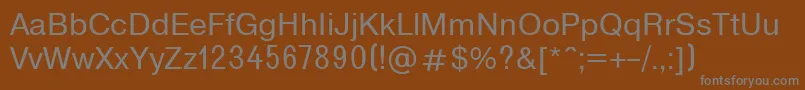 T2131 Font – Gray Fonts on Brown Background
