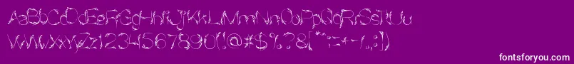 BirdFeather Font – White Fonts on Purple Background