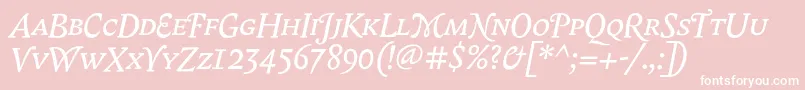 フォントBiblonScOtItalic – ピンクの背景に白い文字