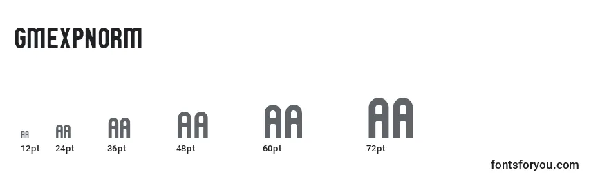 GmExpNorm Font Sizes