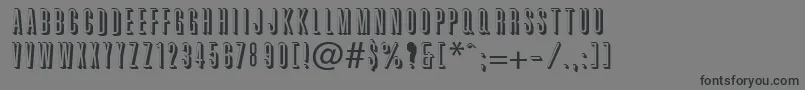 TorchwoodShadow Font – Black Fonts on Gray Background