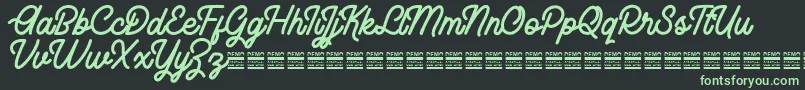 RhaikaneDemo Font – Green Fonts on Black Background