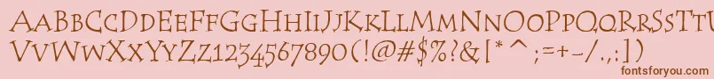 TempusScItcTt Font – Brown Fonts on Pink Background