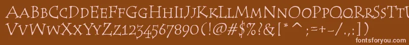TempusScItcTt Font – Pink Fonts on Brown Background