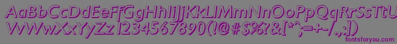 ChantillyshadowItalic Font – Purple Fonts on Gray Background