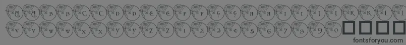PfXmasFlower1 Font – Black Fonts on Gray Background