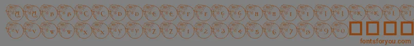 fuente PfXmasFlower1 – Fuentes Marrones Sobre Fondo Gris