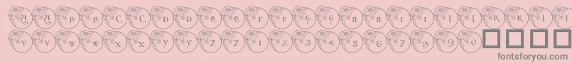 Fonte PfXmasFlower1 – fontes cinzas em um fundo rosa