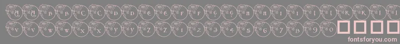 Fonte PfXmasFlower1 – fontes rosa em um fundo cinza