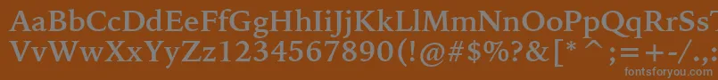 フォントBitstreamIowanOldStyleBoldBt – 茶色の背景に灰色の文字