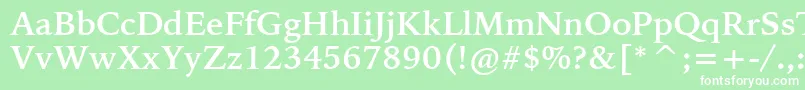 BitstreamIowanOldStyleBoldBt Font – White Fonts on Green Background