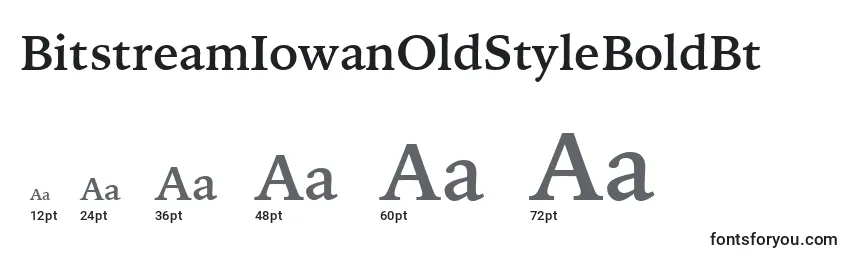 BitstreamIowanOldStyleBoldBt Font Sizes
