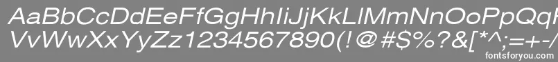 XeroxSansSerifWideOblique Font – White Fonts on Gray Background