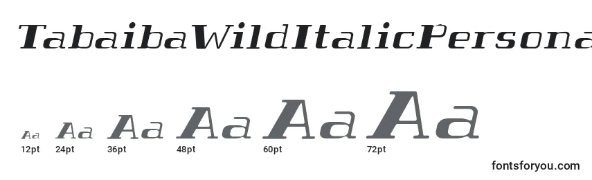 Размеры шрифта TabaibaWildItalicPersonalUse (78930)