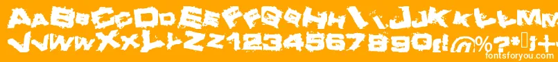 フォントCrazy – オレンジの背景に白い文字