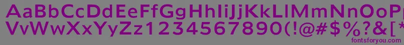 Humana970 Font – Purple Fonts on Gray Background