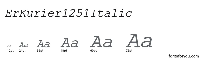 Размеры шрифта ErKurier1251Italic